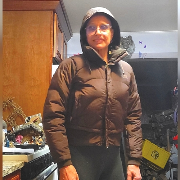 The North Face Jackets & Coats North Face Warm Winter Coat 60 Goose